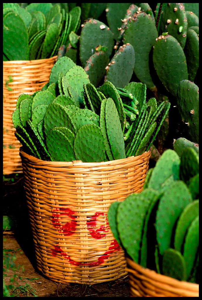 Paquete de 5 postales "Mercados"